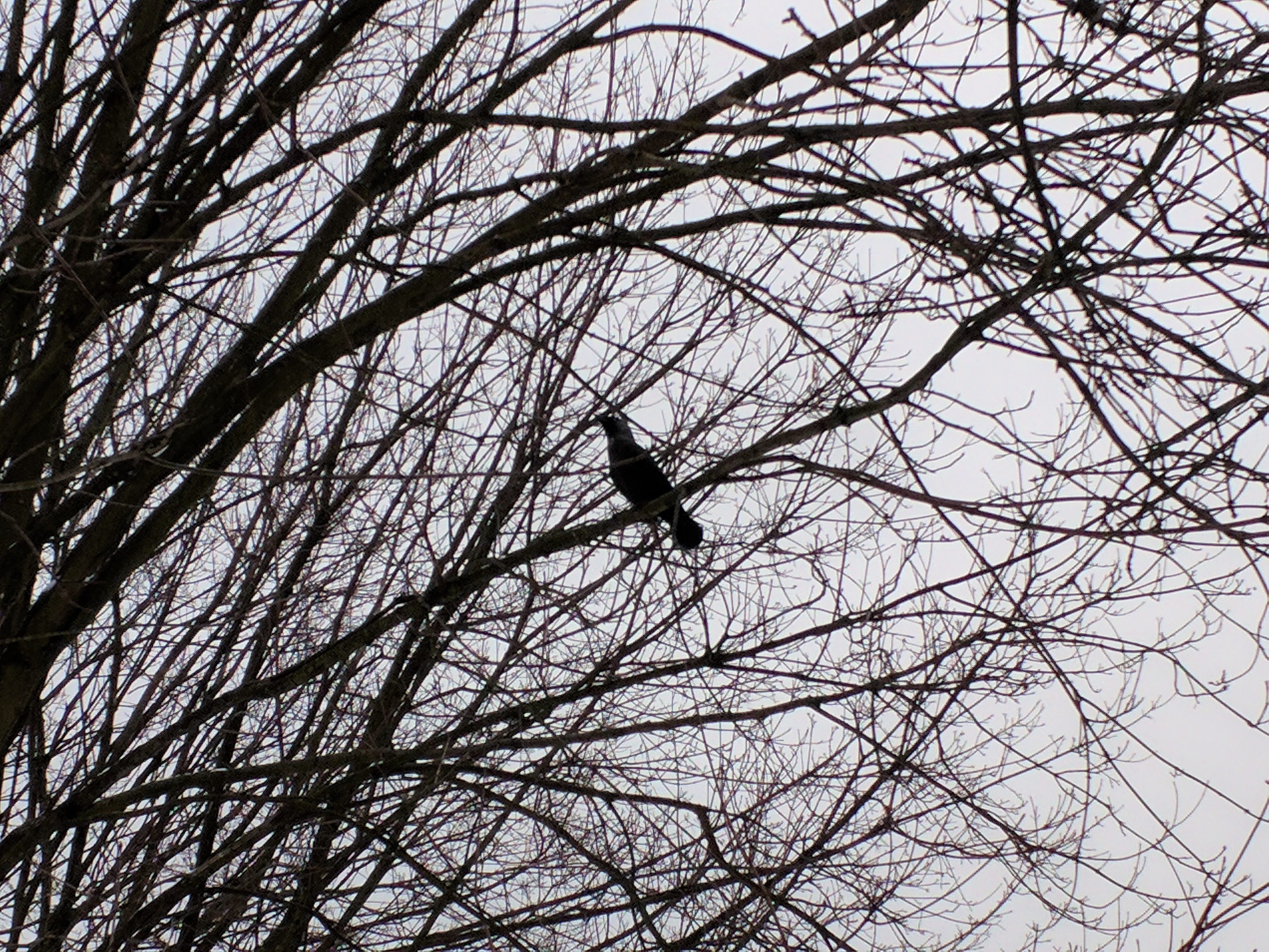 IMG_20180210_150937