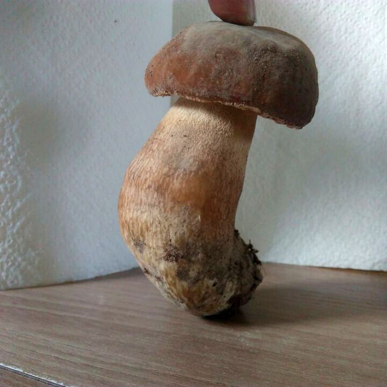 61