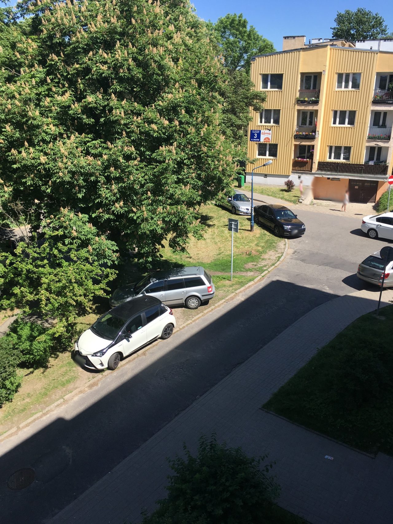 image1 (1)
