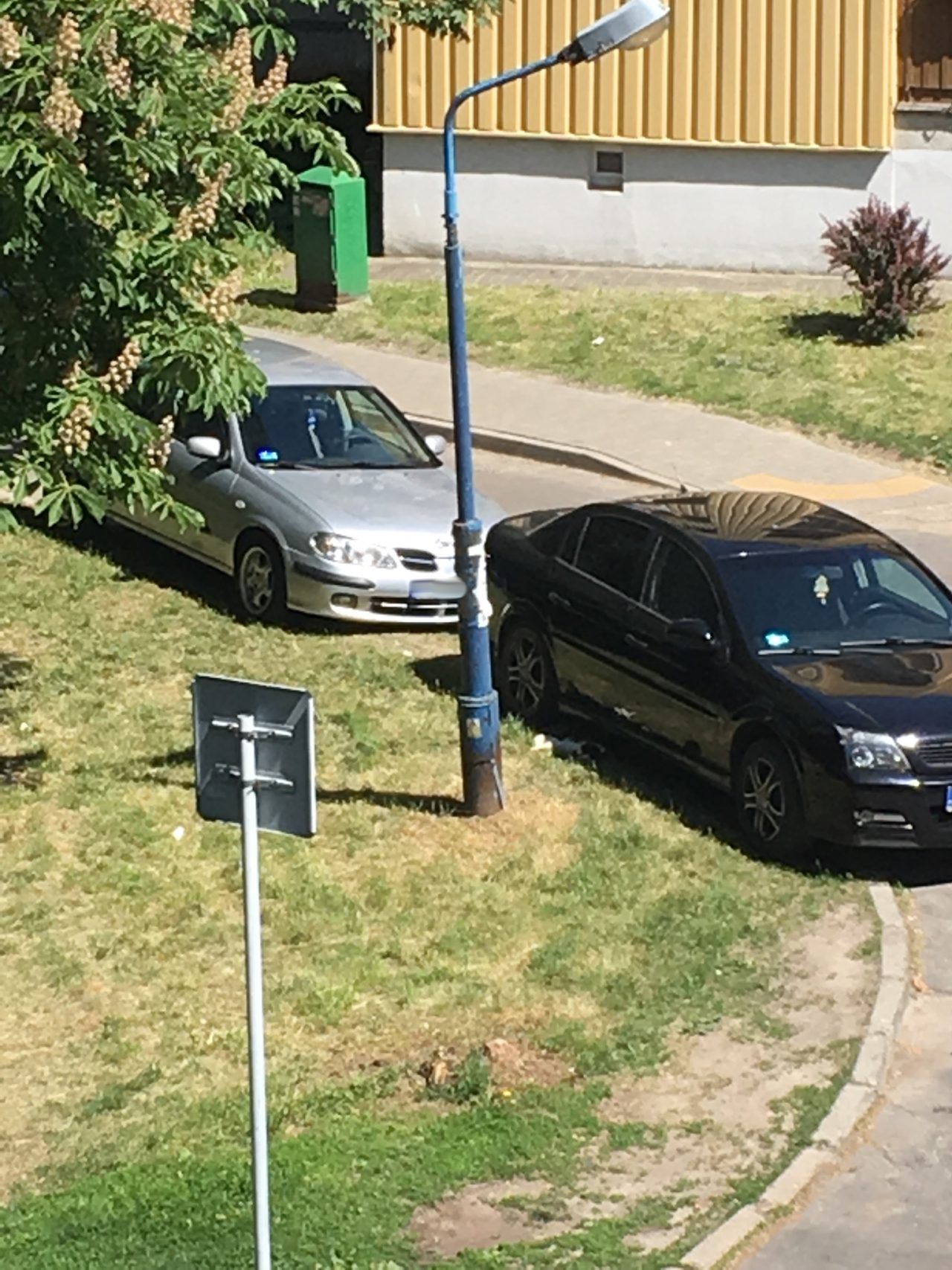 image2 (1)
