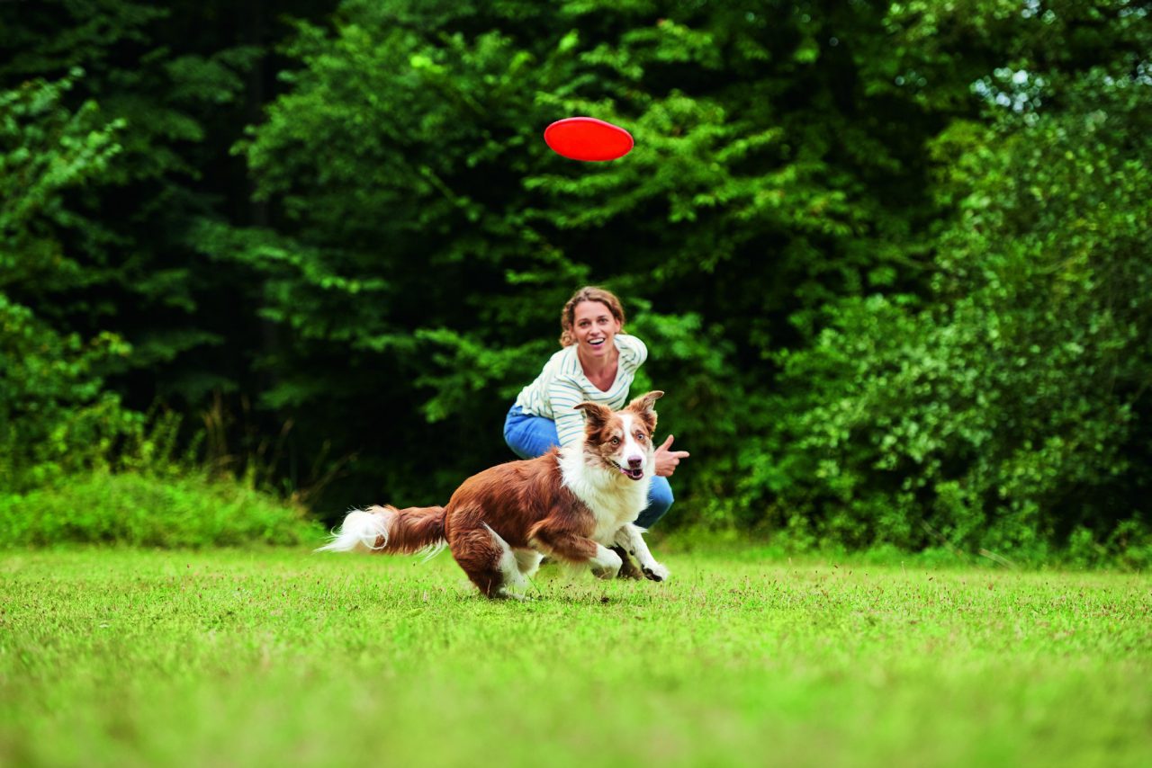 07_FN_Ab_nach_draussen_Hund_02_DSC7277 1