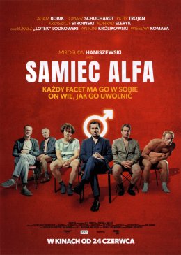 Plakat Samiec Alfa