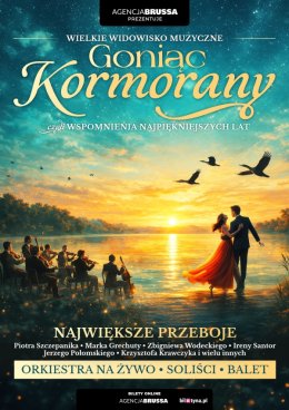 Plakat Goniąc Kormorany - wspomnienia najpiekniejszych lat