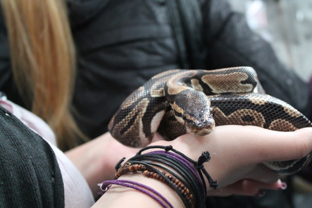 Zoopark: Lubelska Wystawa Zoologiczna (fotogaleria)