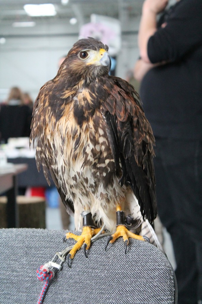 Zoopark: Lubelska Wystawa Zoologiczna (fotogaleria)