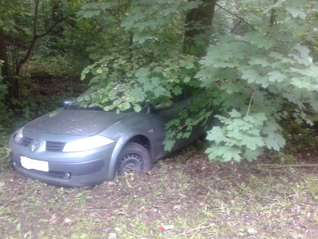 Ul. Osmolicka: Renault uderzyło w drzewo. Kierowca zbiegł do lasu