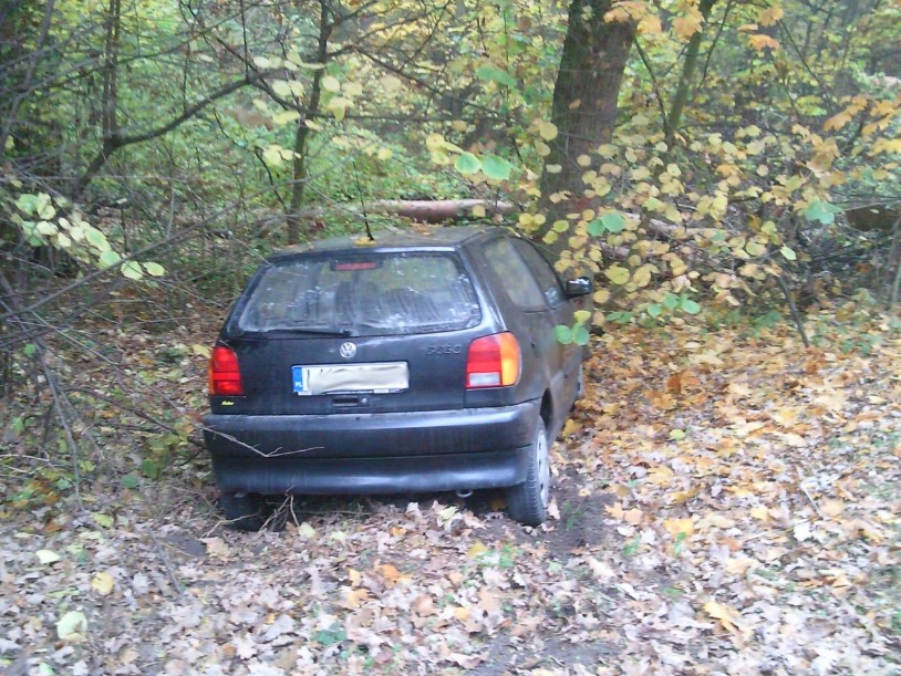 Ul. Osmolicka: Auto zatrzymało się na drzewie