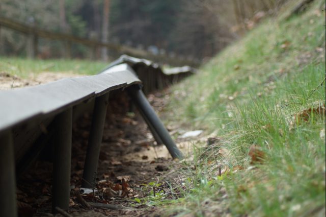 Na Roztoczu ruszyła akcja „Ocal Żabkę”. Ratują płazy przed śmiercią pod kołami samochodów (zdjęcia)