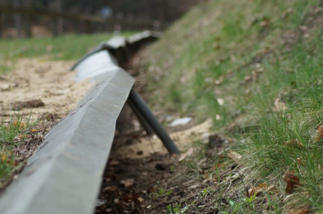 Na Roztoczu ruszyła akcja „Ocal Żabkę”. Ratują płazy przed śmiercią pod kołami samochodów (zdjęcia)