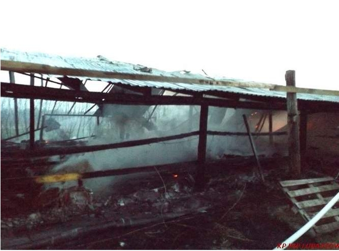 Krasne Krzywe: W pożarze kurnika spłonęło 10 tys. indyków