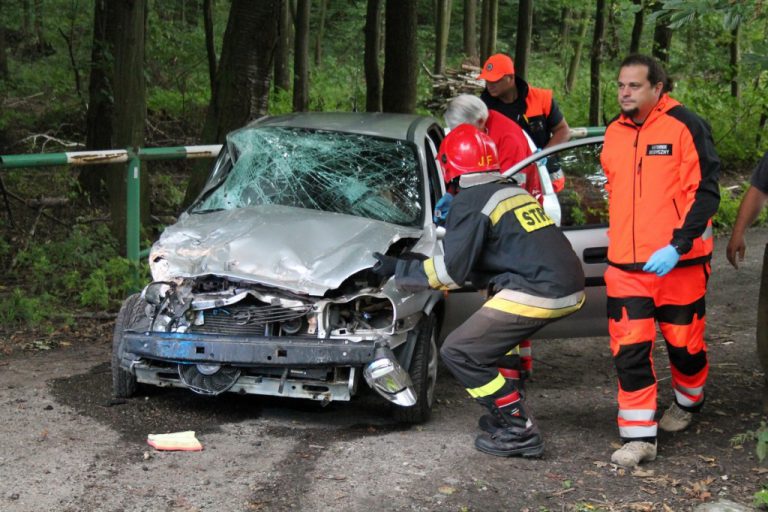 Łopiennik Nadrzeczny Zderzenie osobówki z ciężarówką. Jedna osoba