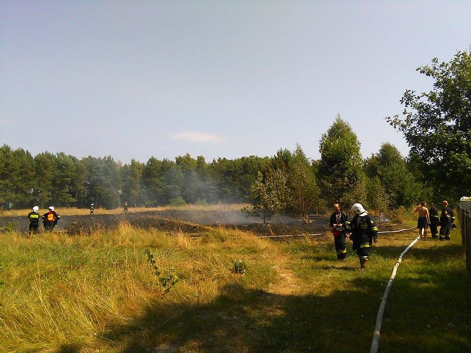 Pożar traw nad Jeziorem Krasne. Ktoś wyrzucił rozżarzone węgle