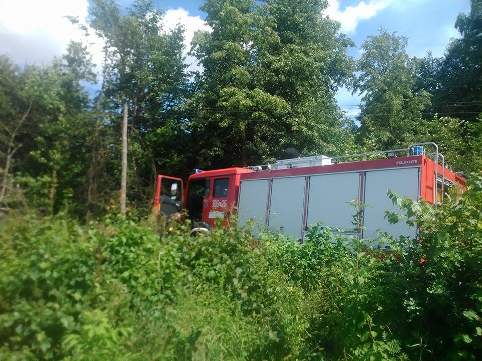 Gierniak: Trzy zastępy strażaków gasiły pożar drewnianego budynku