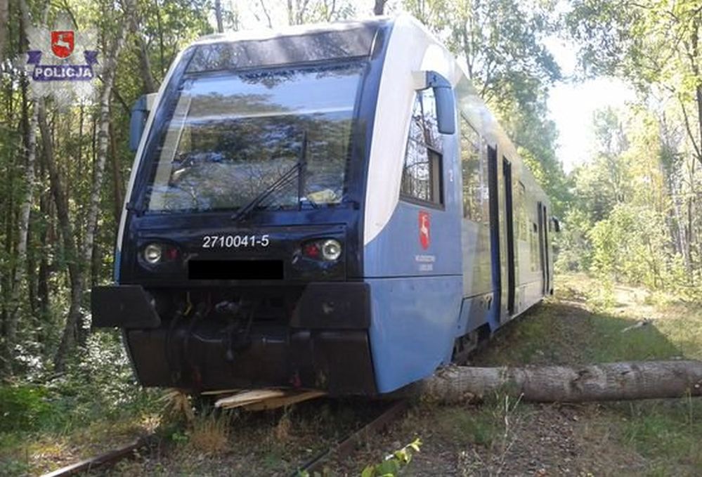 Bobry zatrzymały szynobus. Pociąg wypadł z szyn