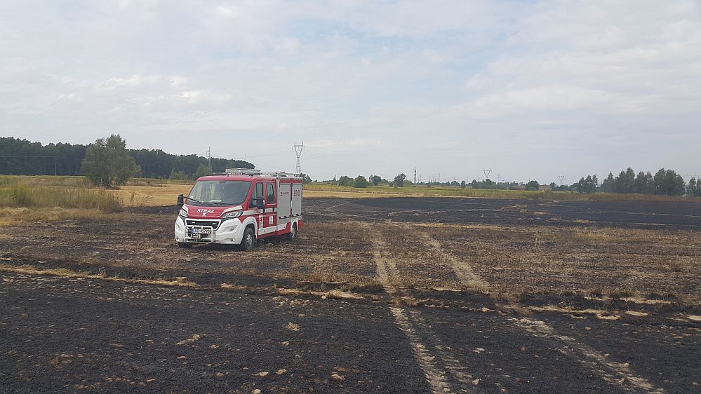 Lublin: Dwie godziny walki z ogniem, zagrożone były okoliczne domy