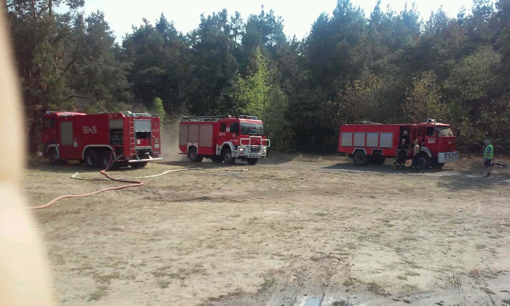 Niebrzegów: Kilka zastępów straży gasiło pożar lasu. Wykorzystano samolot gaśniczy