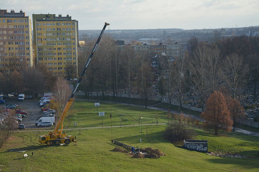 Koniec z komarami na Kalinowszczyźnie. Budują wieżę dla jerzyków