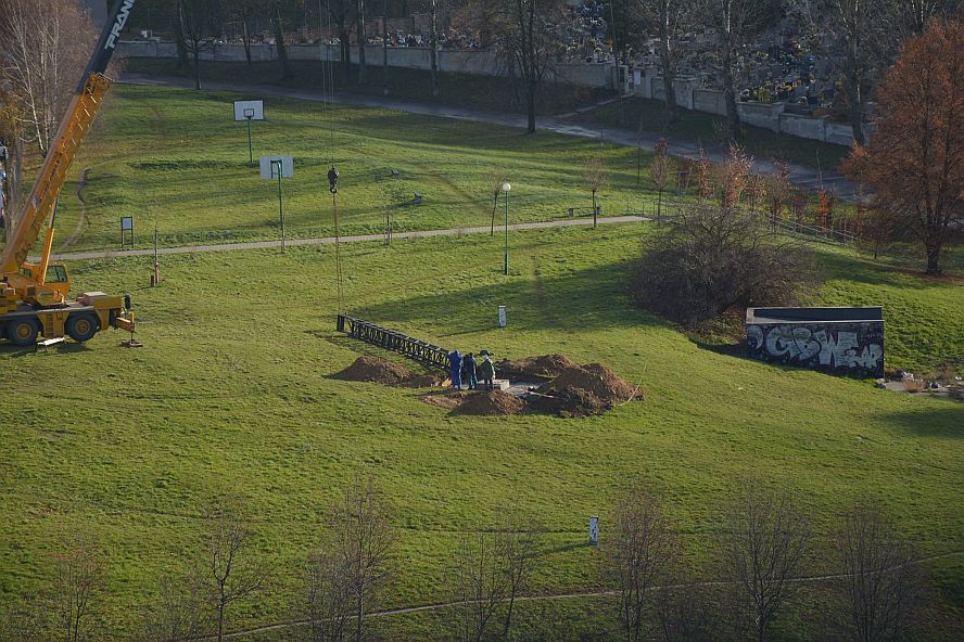 Koniec z komarami na Kalinowszczyźnie. Budują wieżę dla jerzyków