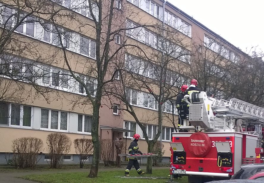 Lublin: Strażacy jeżdżą nie tylko do pożarów. Wczoraj uratowali gołębia