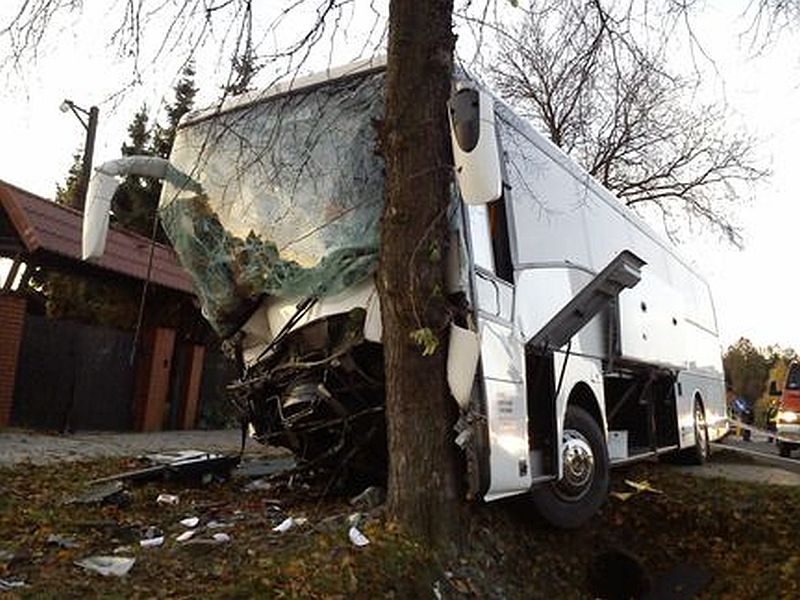 Wjechał autokarem z weselnikami w drzewo. Dostał dwa lata w zawieszeniu