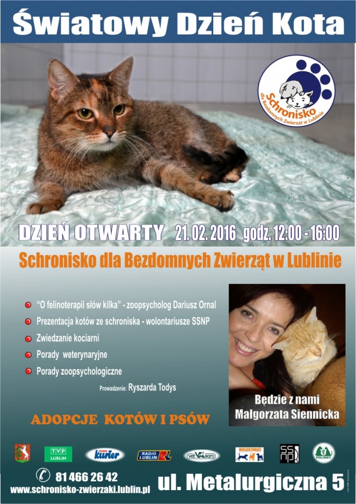 Dzisiaj Światowy Dzień Kota. Zaproszenie na Dzień Otwarty do lubelskiego schroniska (zobacz kocią galerię zdjęć)