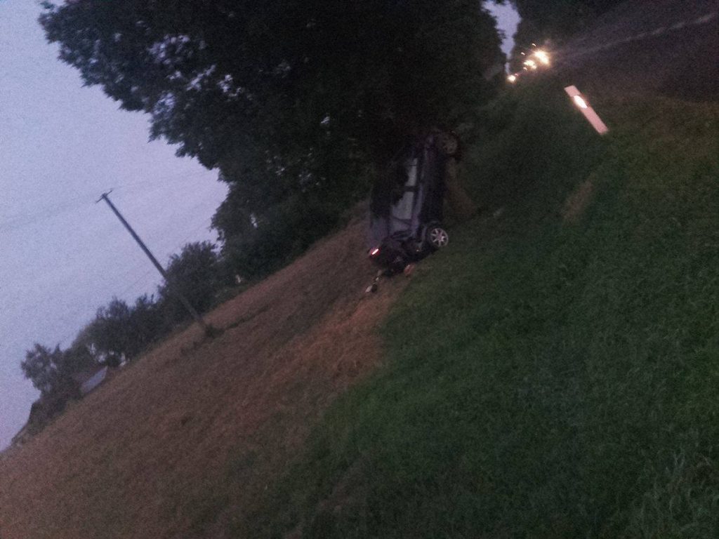 Samochód wypadł z drogi i widowiskowo zatrzymał się na drzewie. Nikomu się nic nie stało