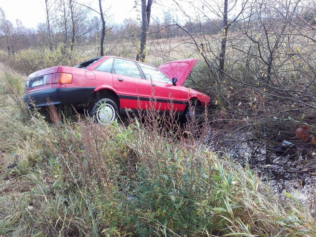 Zobaczyła stado saren, wpadła do rowu z wodą