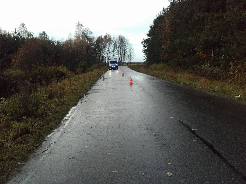 Zobaczyła stado saren, wpadła do rowu z wodą