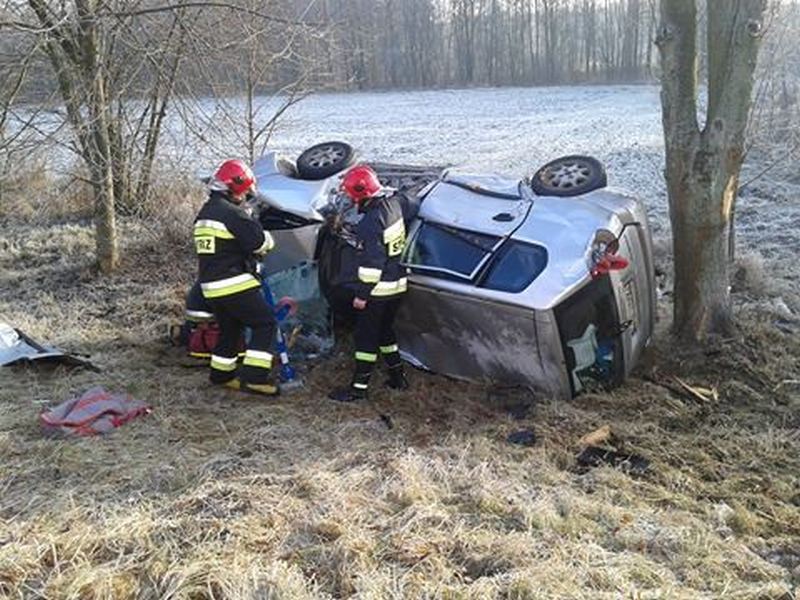 Gęś Auto osobowe wypadło z drogi i uderzyło w drzewo