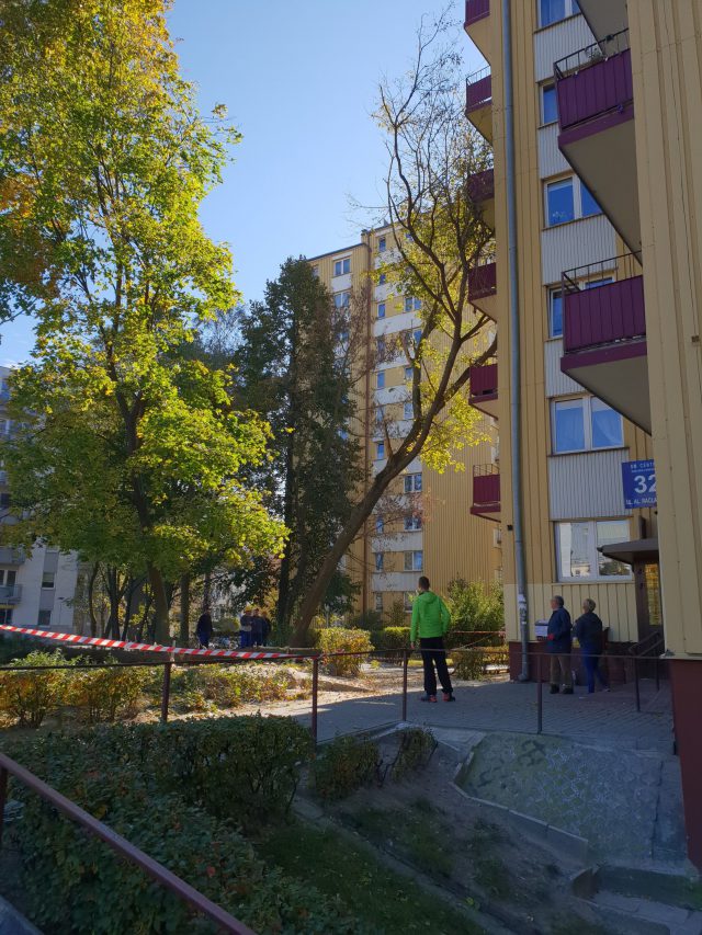 Podczas wycinki, drzewo przewróciło się na budynek w centrum Lublina (zdjęcia)