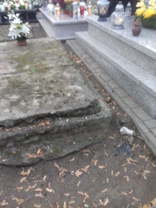 Ludzka kość walała się na cmentarzu. „Szczątki pochowanych w moim rodzinnym grobowcu osób wyciągałem ze śmietnika”