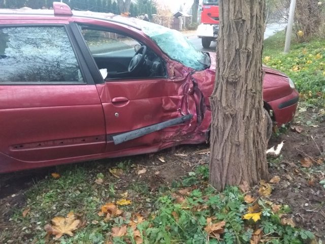 Renault uderzyło w drzewo. Kierowca przestraszył się sarny (zdjęcia)