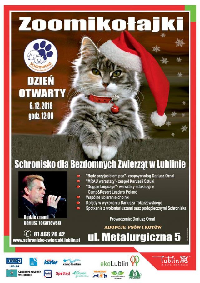 6 grudnia w Schronisku dla Bezdomnych Zwierząt w Lublinie odbędą się „Zoomikołajki”