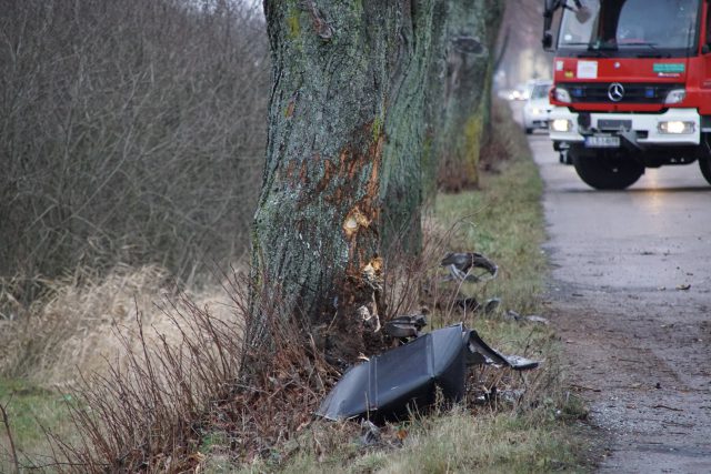 Jaguar uderzył w drzewo. Tragiczny wypadek na lokalnej drodze (zdjęcia)