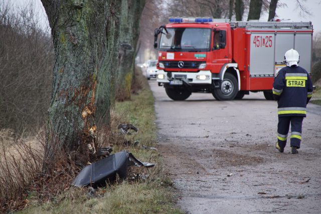 Jaguar uderzył w drzewo. Tragiczny wypadek na lokalnej drodze (zdjęcia)