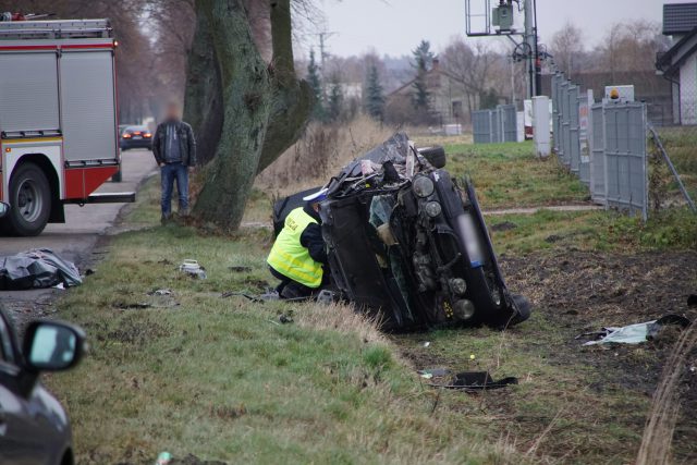 Jaguar uderzył w drzewo. Tragiczny wypadek na lokalnej drodze (zdjęcia)