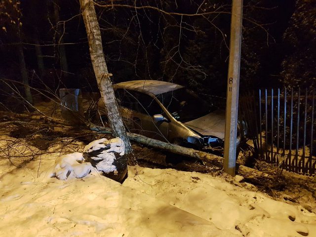 Honda wpadła do rowu, ścięła drzewo i uderzyła w ogrodzenie (zdjęcia)