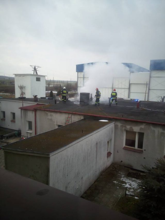 Pożar budynku mieszkalnego w Opolu Lubelskim (zdjęcia)
