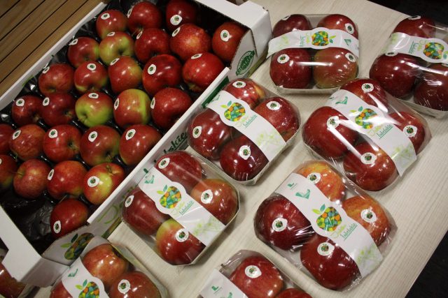 Lubelskie jabłka pojadą w Polskę (zdjęcia)