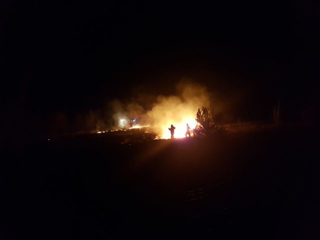 Pożar traw w Turce. „Gdyby nie sąsiedzi spłonąłby nasz dom” (zdjęcia)