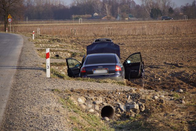 Audi wypadło z drogi, zatrzymało się na polu. Dwie osoby poszkodowane (zdjęcia)
