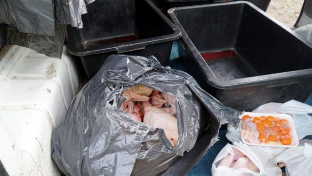 Prowadzili ubój drobiu i wprowadzali mięso na rynek bez badań oraz zezwolenia (wideo, zdjęcia)