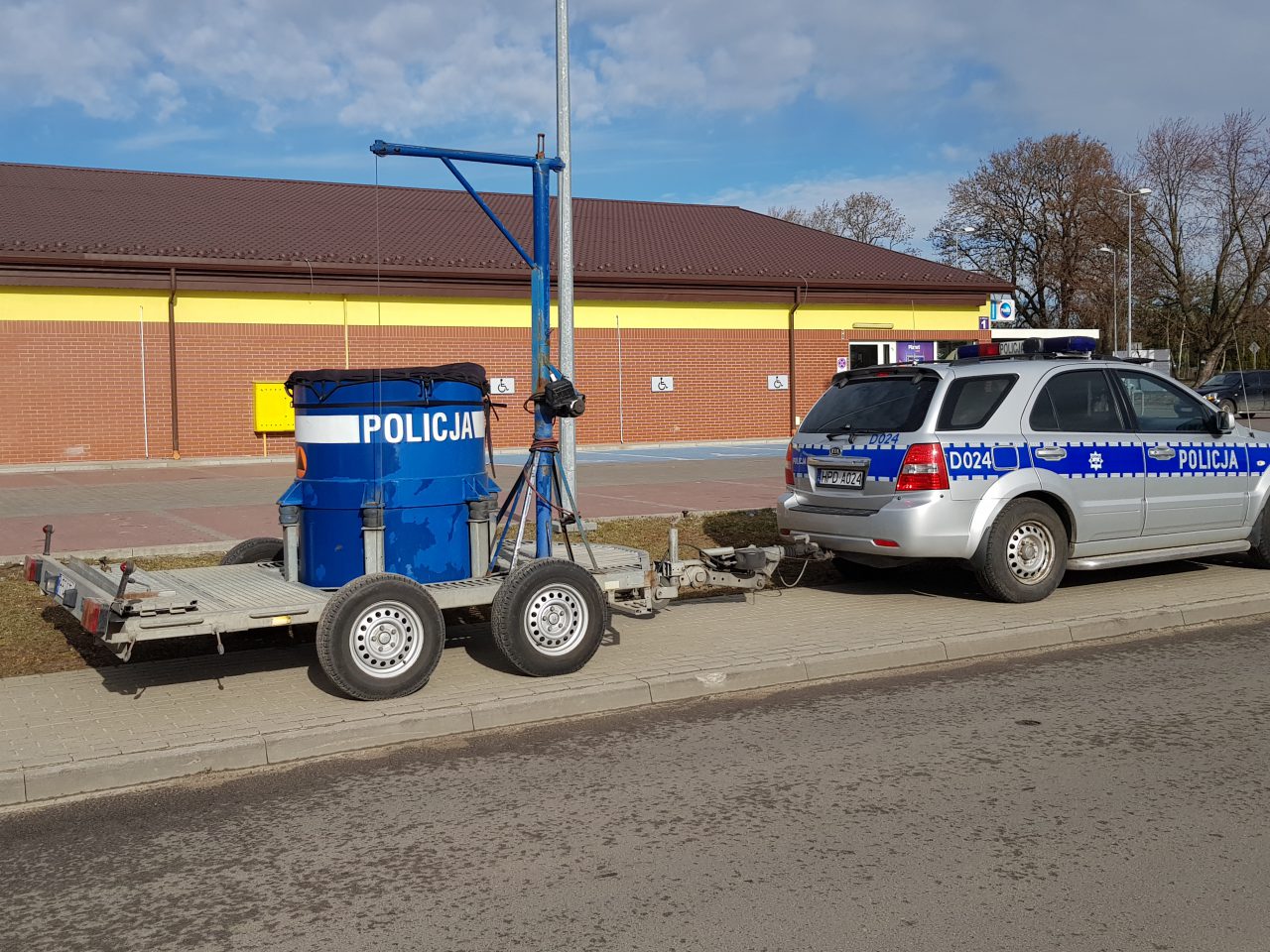 stokrotka