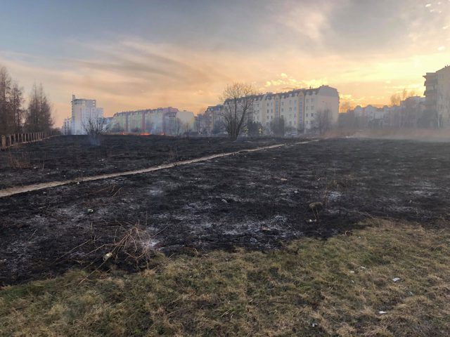 Pożar traw w rejonie szpitala przy ul. Chodźki (zdjęcia)