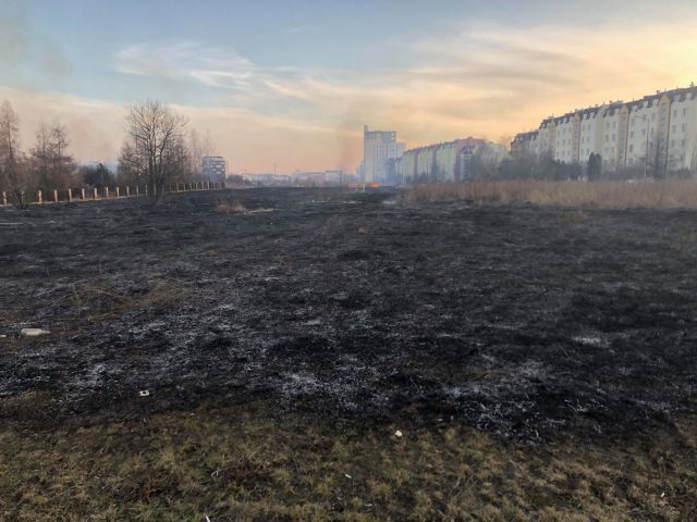 Pożar traw w rejonie szpitala przy ul. Chodźki (zdjęcia)