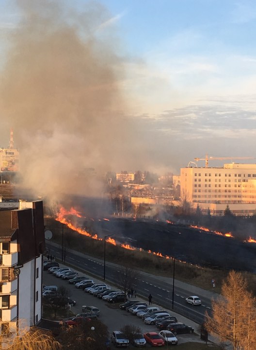 Pożar traw w rejonie szpitala przy ul. Chodźki (zdjęcia)