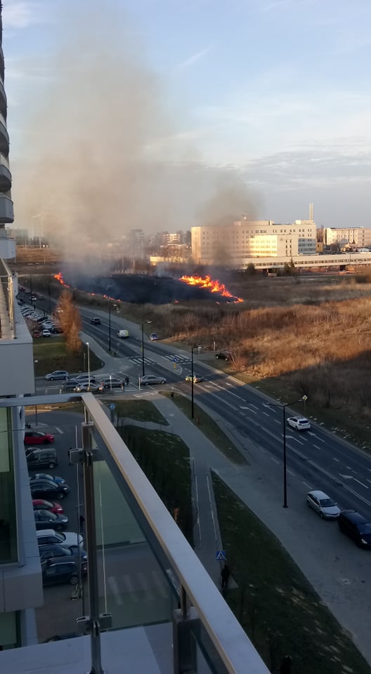 Pożar traw w rejonie szpitala przy ul. Chodźki (zdjęcia)