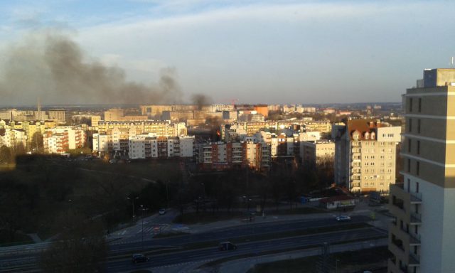 Pożar traw w rejonie szpitala przy ul. Chodźki (zdjęcia)