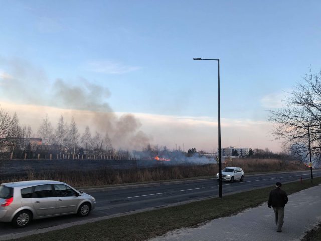 Pożar traw w rejonie szpitala przy ul. Chodźki (zdjęcia)