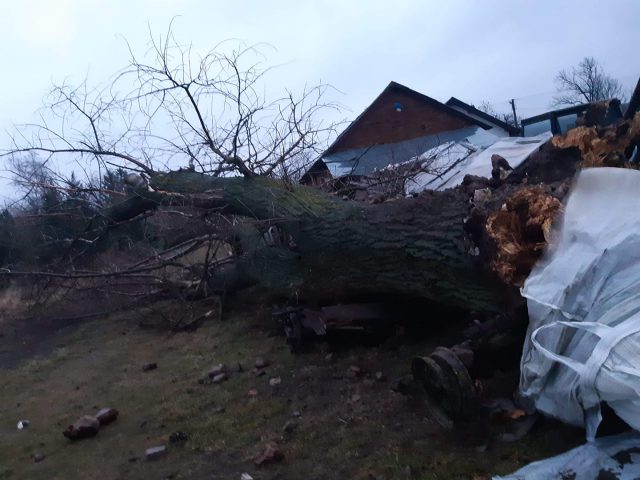 Mieszkańcy bez prądu, powalone drzewa, uszkodzone budynki. Krajobraz po wichurze (zdjęcia)